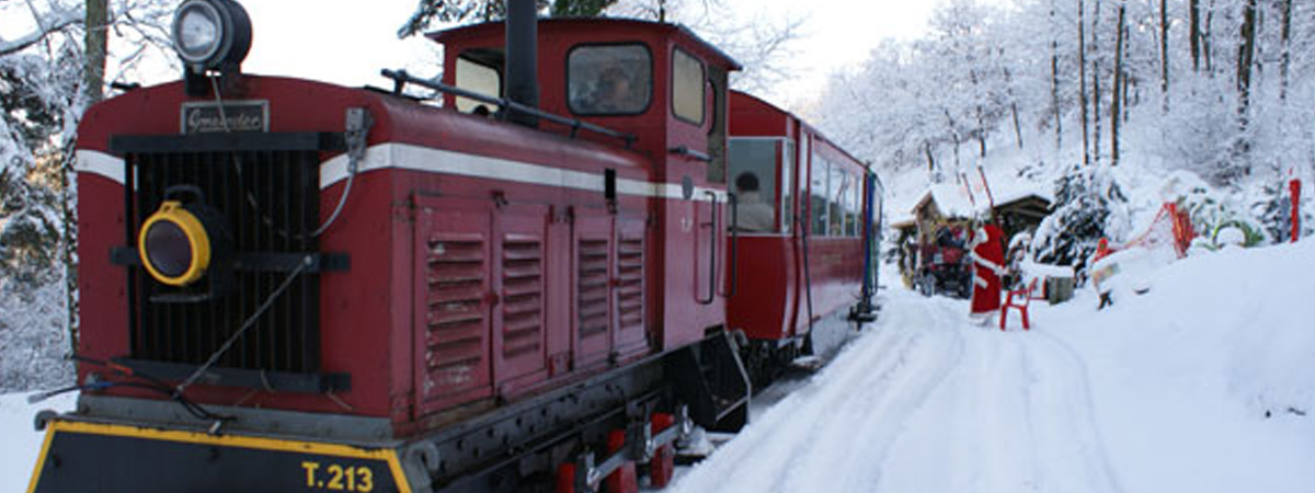 Le petit train de Noël entre en gare 